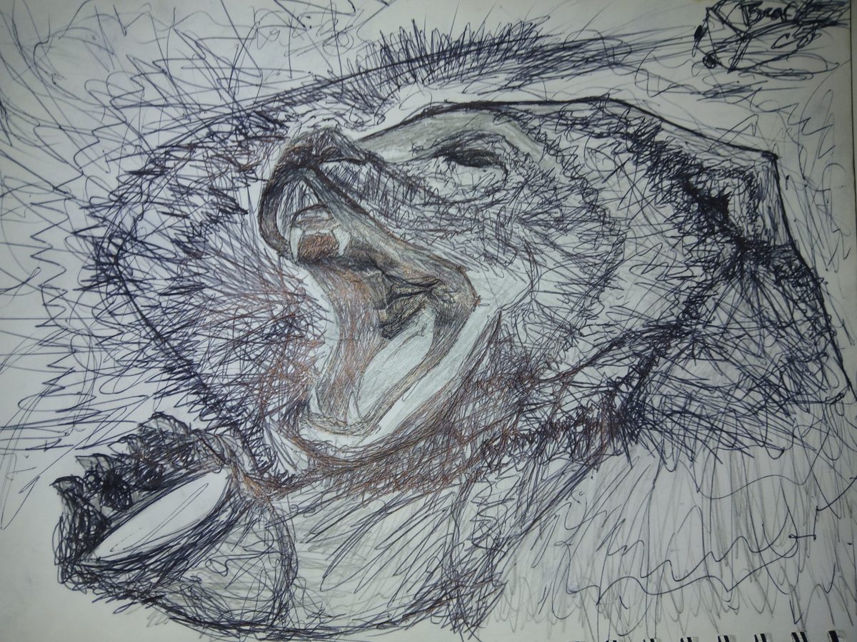 Roar — Art Print